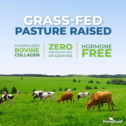 Advanced Multi Collagen  Rawalpindi ForestLeaf